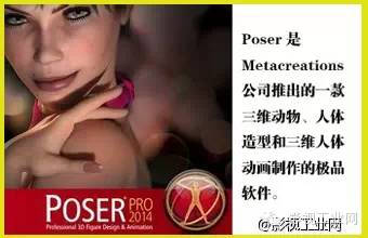 黄色软件大全探索黄色软件大全的虚拟世界-第3张图片