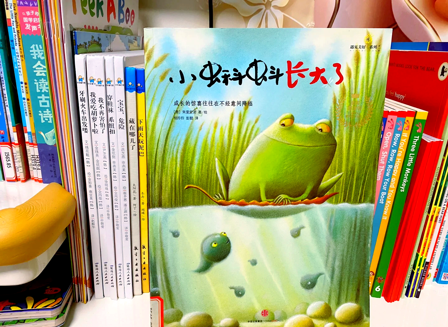 小蝌蚪视频，免费观看与探索的奇妙之旅-第1张图片