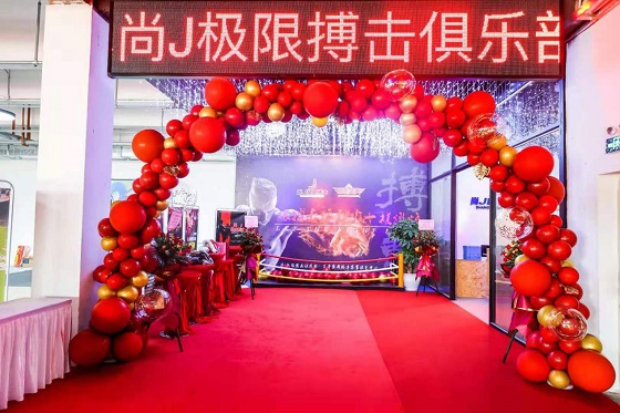搏击俱乐部游戏汉化版搏击俱乐部游戏，探索激情与挑战的极限-第1张图片