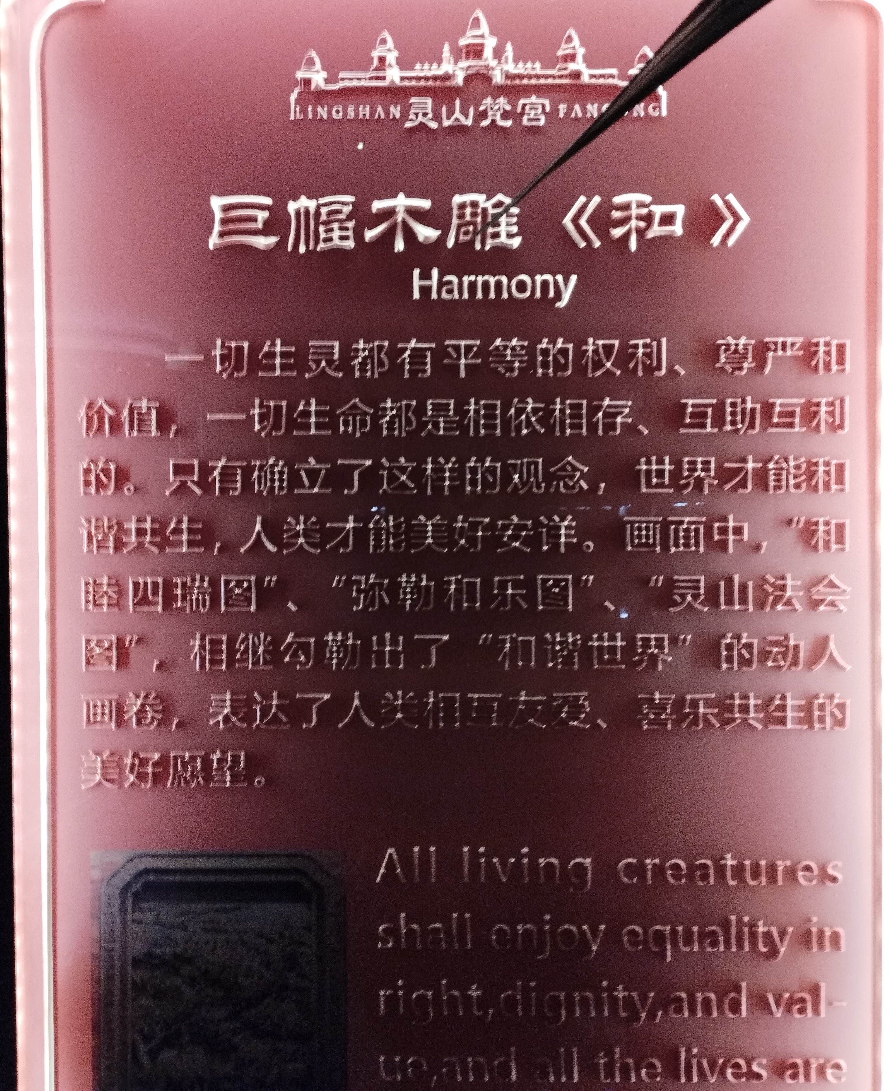 盲憎，坚韧的信仰与无畏的追求-第1张图片