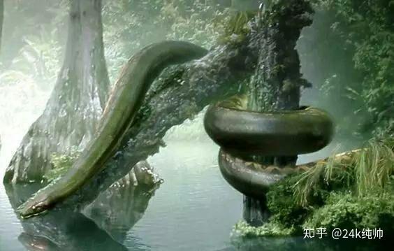 我要看巴齿巨人的图片我要看B的探索与理解-第3张图片