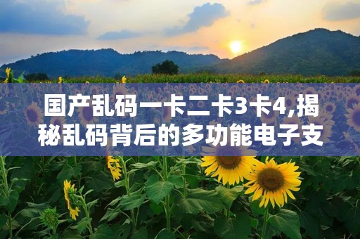 国产卡一卡二卡3卡四卡精品的魅力与选择-第1张图片