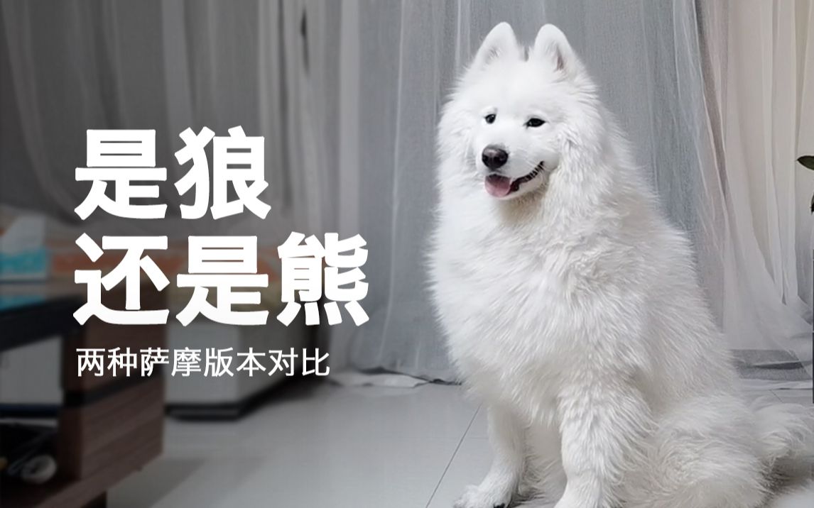 狼干综合密桃网狼干综合，一种全新的工作方式-第2张图片