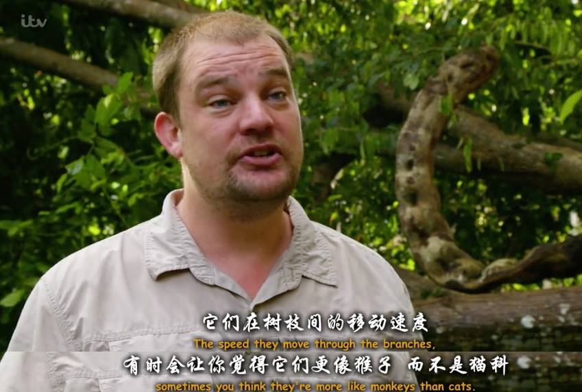 中国毛片网中国毛片网，网络文化的新兴力量-第1张图片