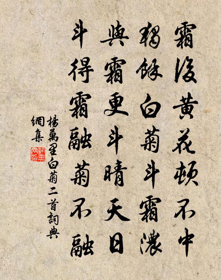 探索WRITEAS中的菊之魅力-第1张图片