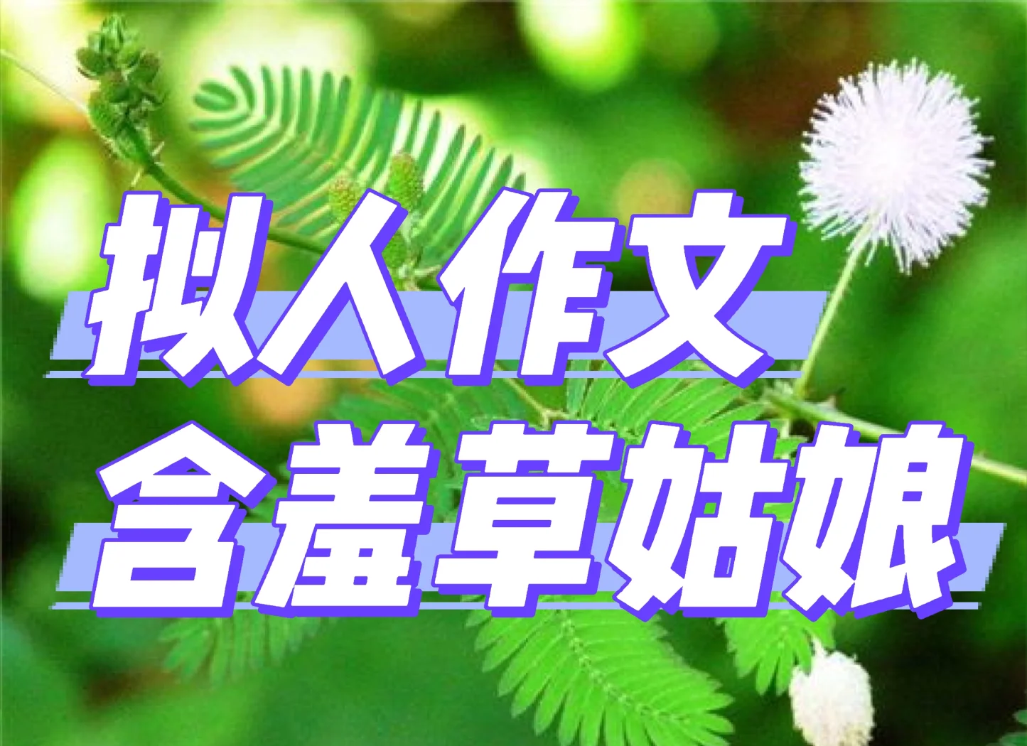 含羞草香蕉片168网站含羞草与香蕉片的奇妙之旅——168的秘密-第2张图片
