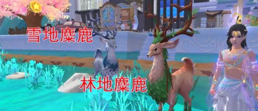 创造与魔法暗紫鲨饲料创造与魔法暗紫鲨饲料，探索与创新的魔法之旅-第2张图片