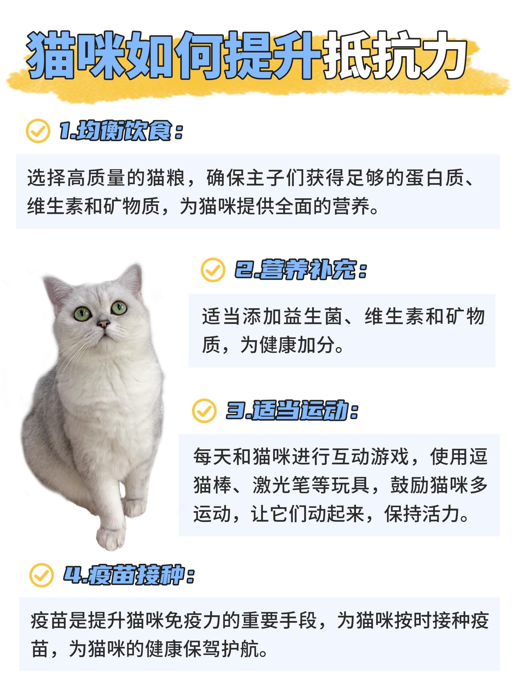 猫扑健康，如何通过科学养猫，实现宠物的健康生活-第1张图片