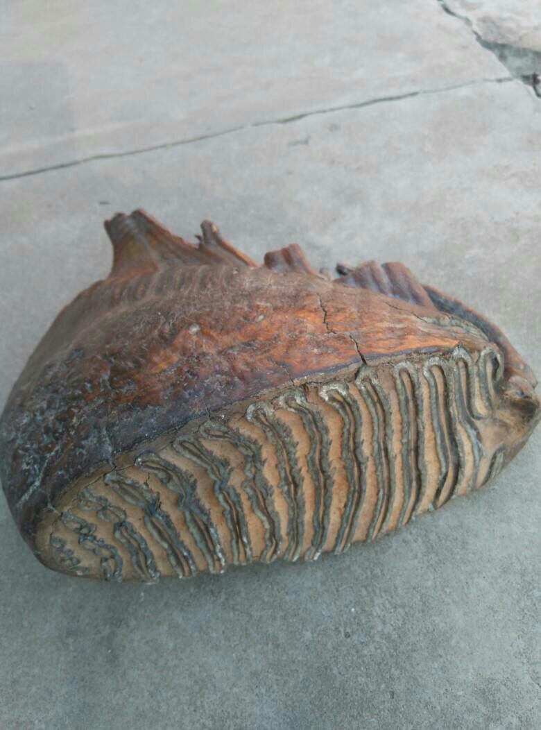 猛犸毁灭者卡奥任务怎么搞猛犸毁灭者卡奥，冰原的传说与宿命之战-第3张图片