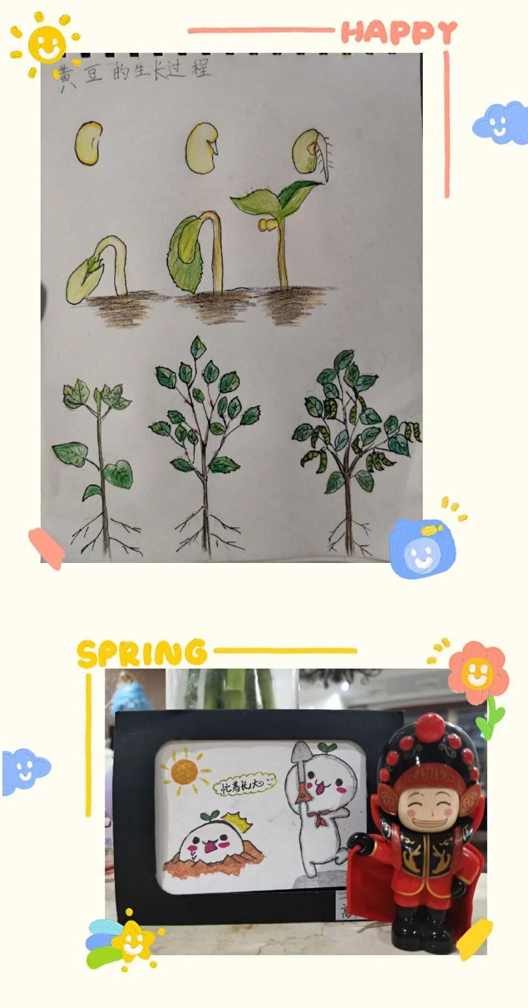求种子你懂得了什么关于种子获取的探讨与注意事项-第3张图片