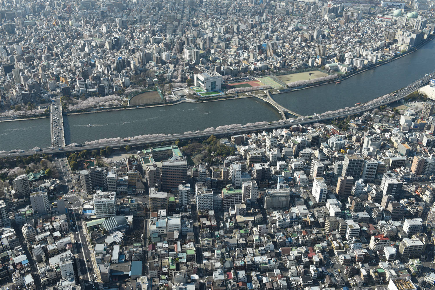 亚洲日本一线产区和二线产区区别解析亚洲日本的一线产区和二线产区之异同-第2张图片