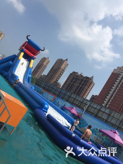 我的兔子，柔软的触感，丰富的水世界——图片与视频分享-第3张图片