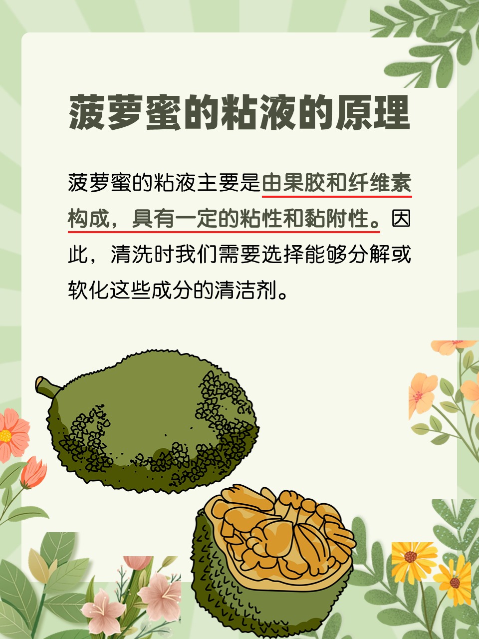 菠萝蜜视频app看一下就知道了菠萝蜜视频的正确使用与健康观看指南-第3张图片