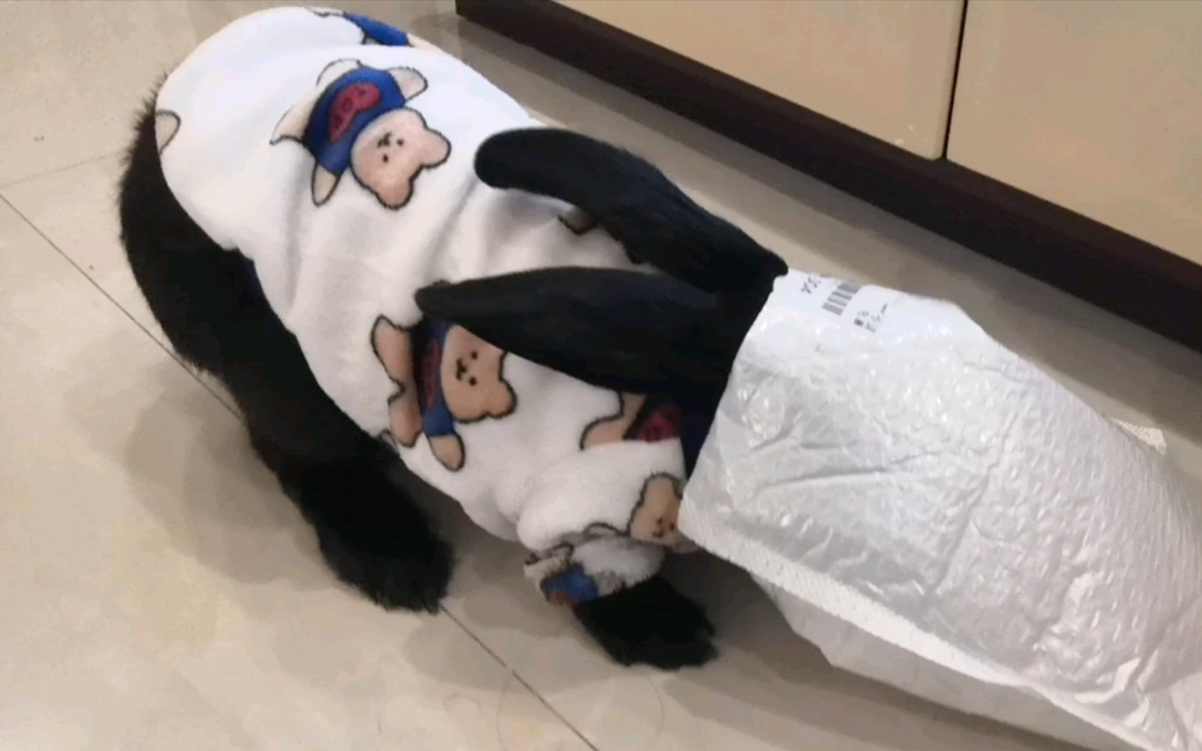 女生的小兔兔可以怎么玩女生如何与自己的小兔兔互动玩耍-第2张图片