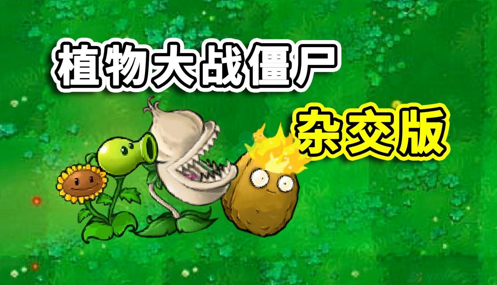 植物大战僵尸2，闪退现象的成因与解决策略-第1张图片