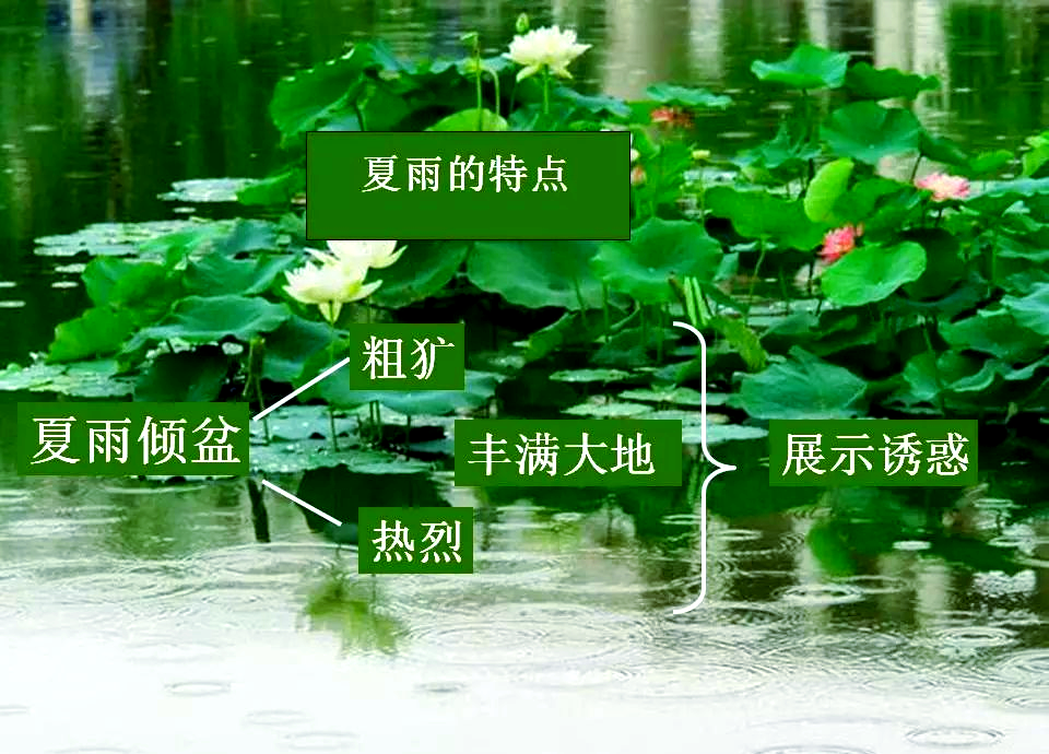 探索男人天堂影院的奇妙世界，关于WWW94的深入解析-第3张图片