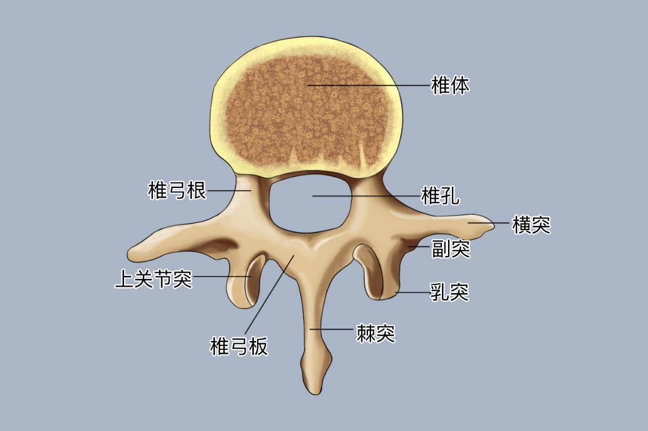 a4tbay0u4u人体探索147的奥秘，人体与人体之间的爱与连接-第1张图片