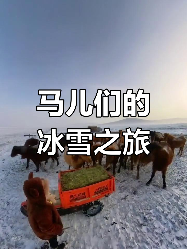 人与马相配人与马相配，共舞自然的和谐乐章-第3张图片