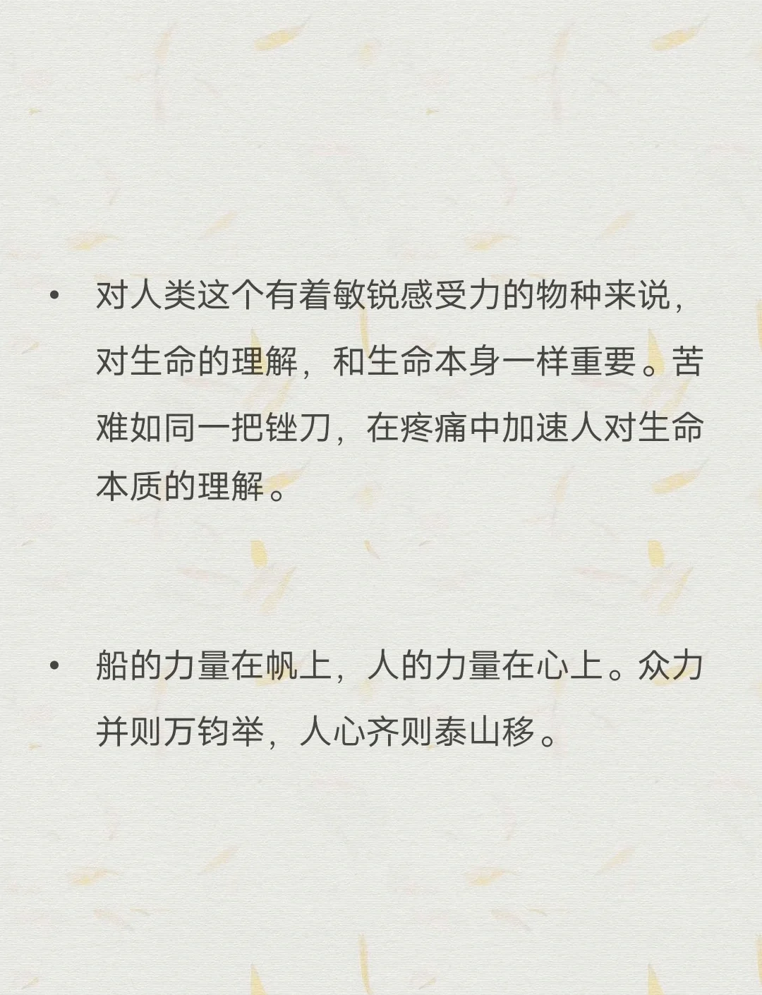 洁西卡，一位坚韧不拔的奋斗者-第3张图片
