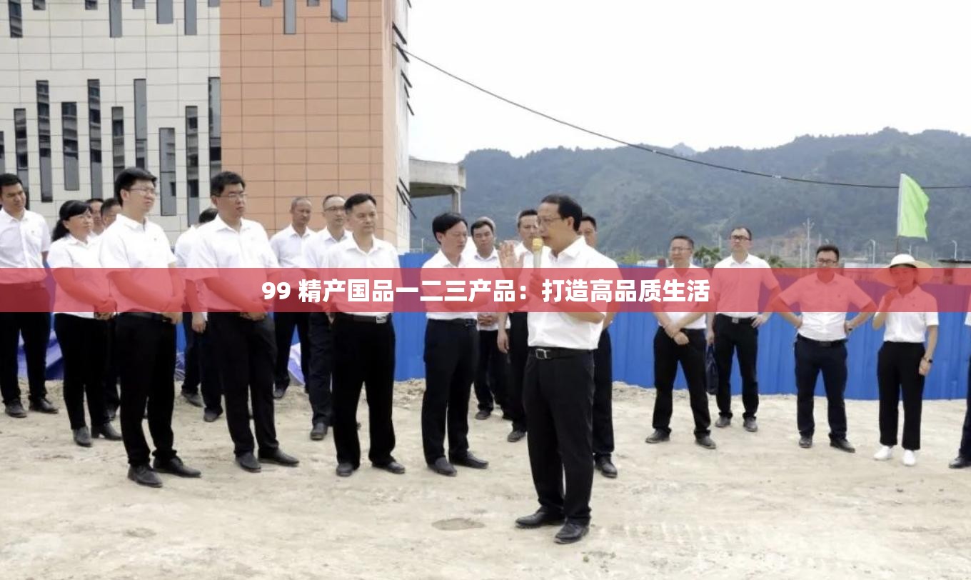 精产国内经济一二三产品，差异与特点-第1张图片
