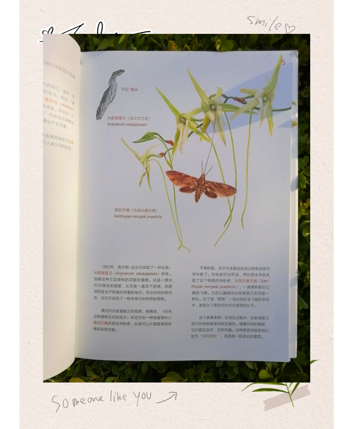你懂得——种子的奥秘-第2张图片