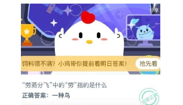 在游泳池游泳时蚂蚁庄园在游泳池畅游的奇妙体验——蚂蚁庄园的故事-第3张图片