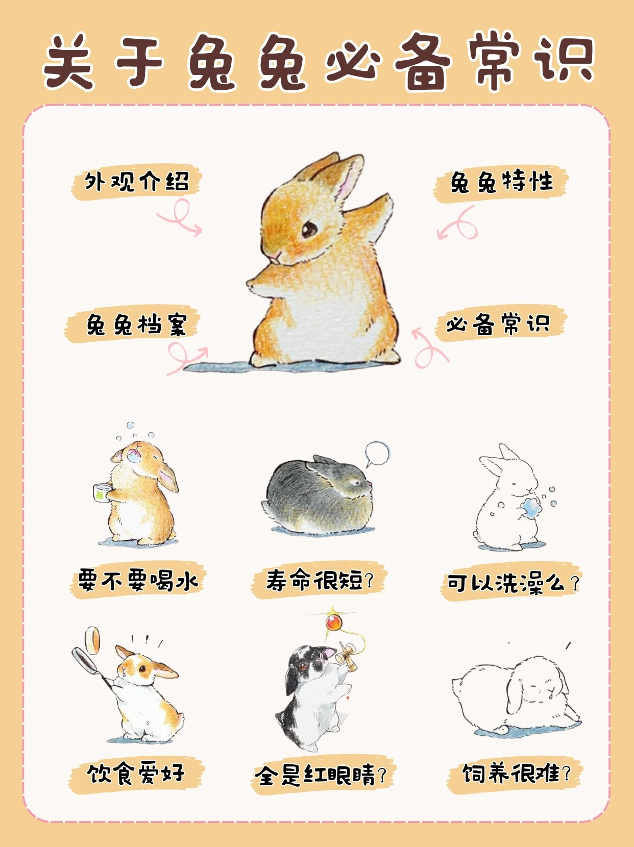 老师你的兔子好软水好多详情介绍赵丽颖老师与她的软毛兔，一段温馨的互动故事-第1张图片