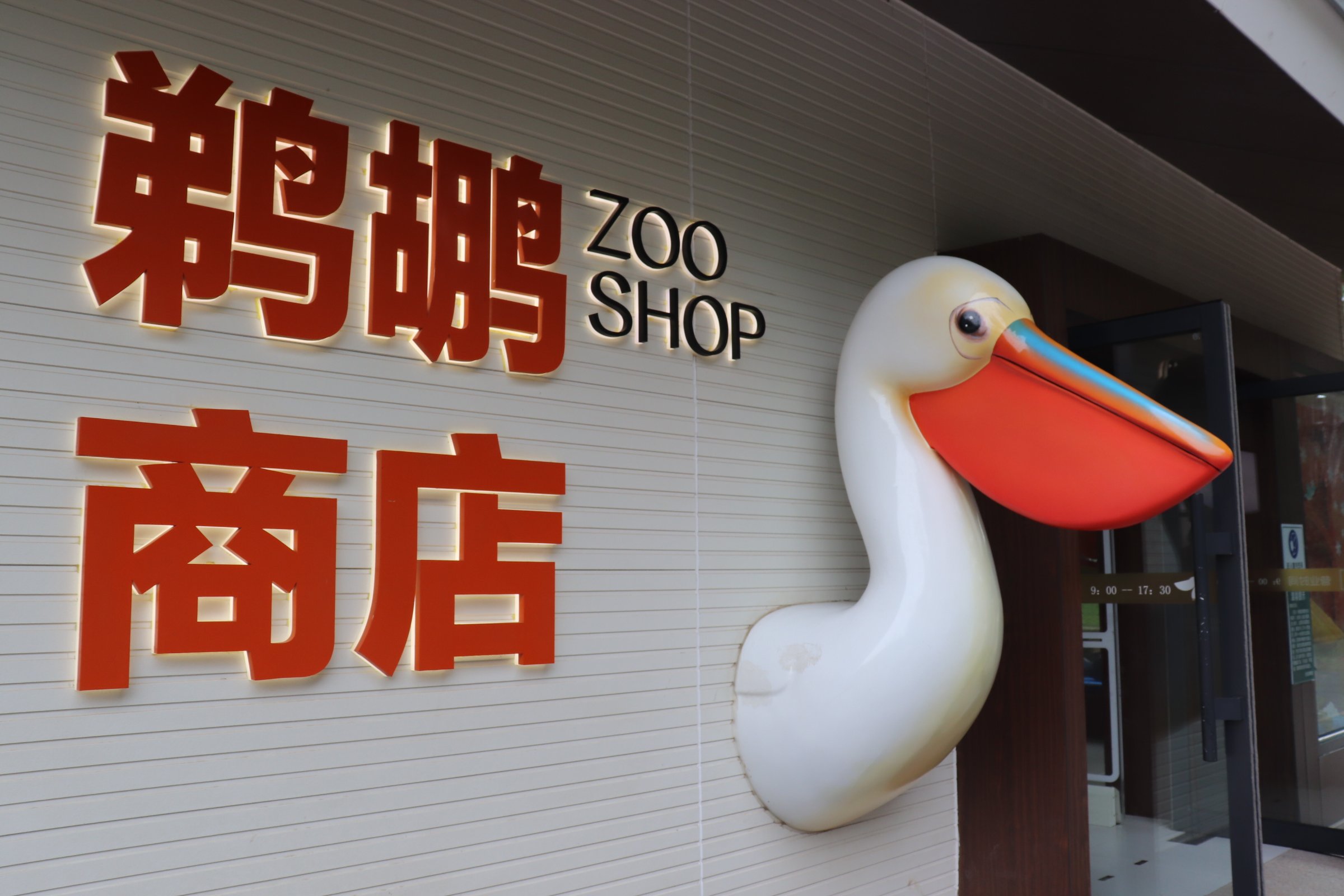 潜入侦探变色龙潜入侦探变色龙，揭开迷雾的神秘之旅-第1张图片