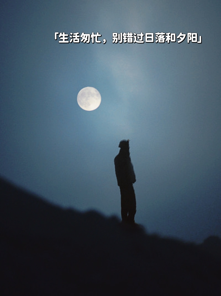 挪威森林之夜，扑克牌的魅力与夜晚的宁静-第1张图片