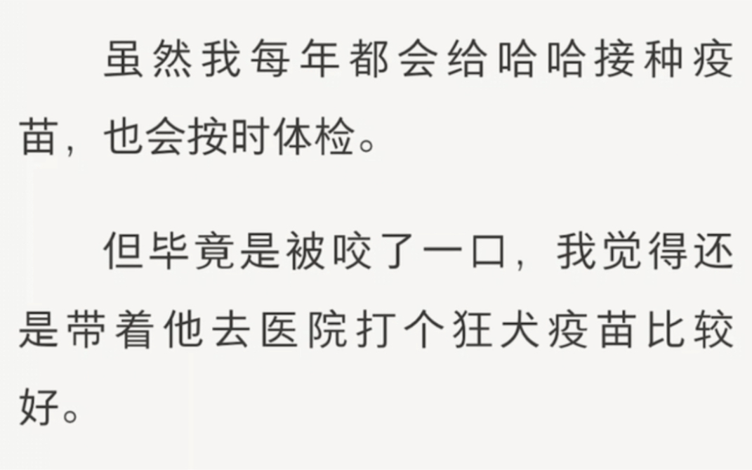 通感玩具与双男主的奇幻之旅-第1张图片