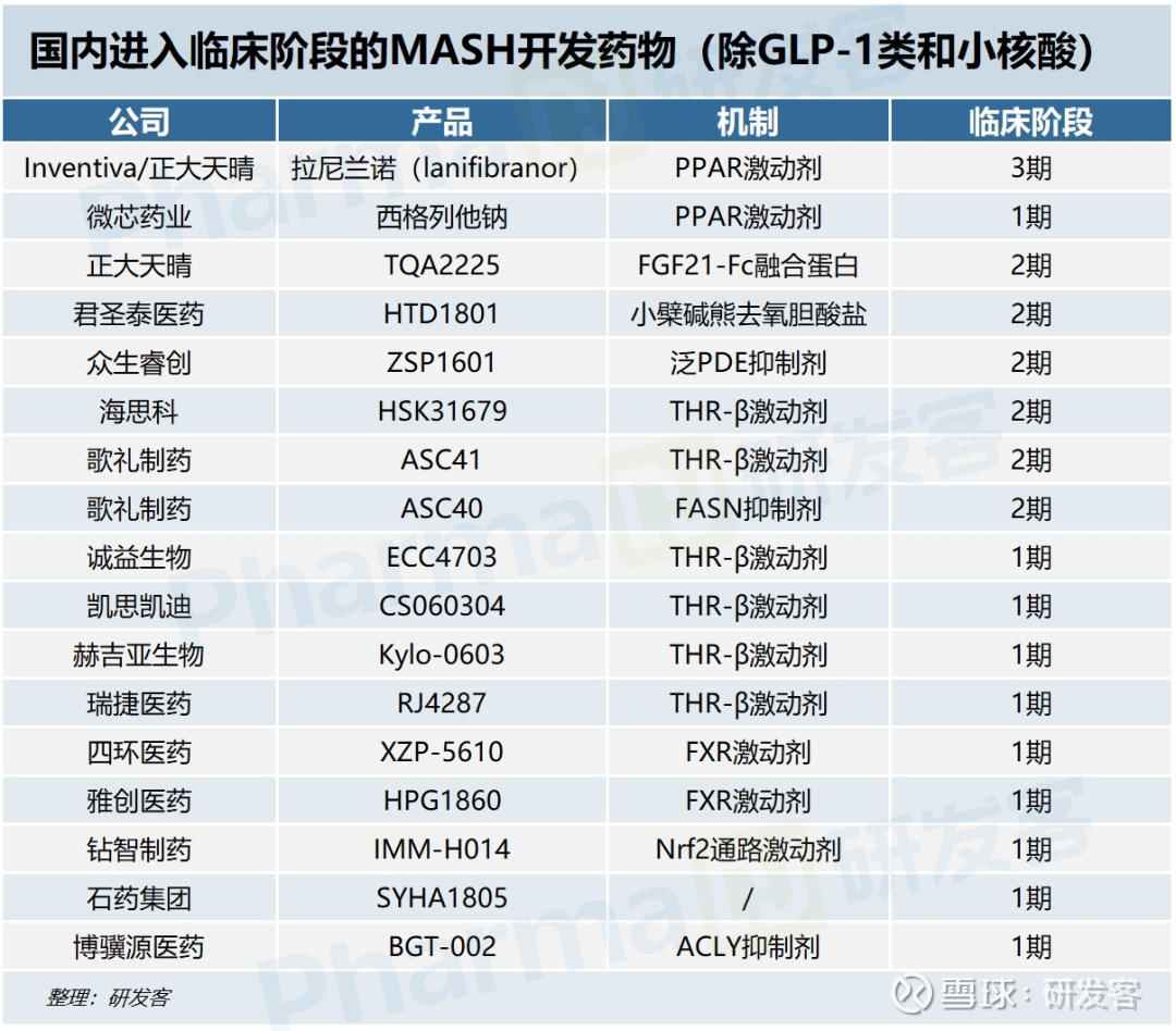 探索91啪国自产文化及其影响-第1张图片