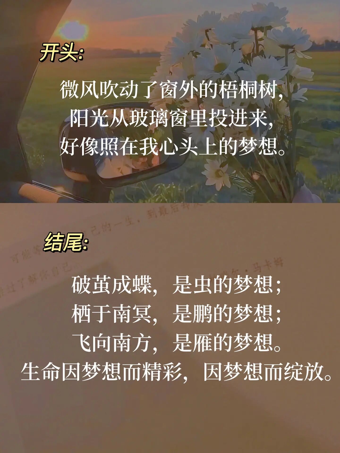 精彩网址，探索网络世界的宝藏-第1张图片