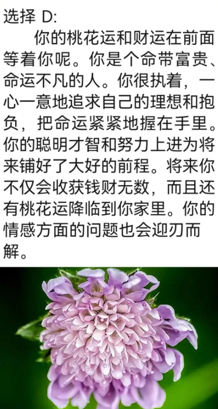 色哟哟导航探索多彩世界——色哟哟导航的魅力之旅-第1张图片