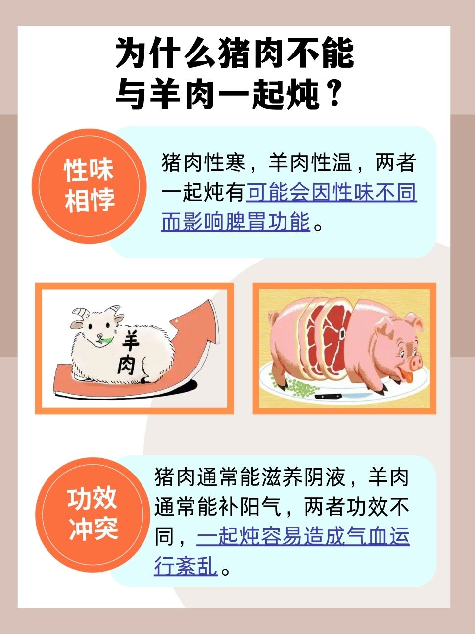 每天在汆肉中醒来和动物每天在汆肉香气中醒来，与动物共度的饮食生活-第1张图片