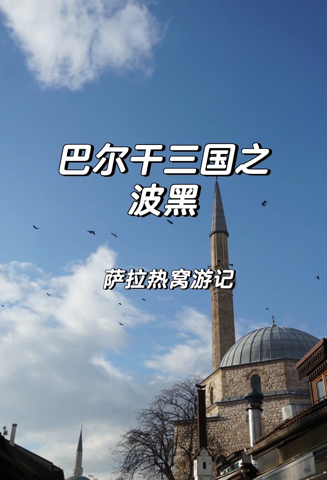佣兵，战争与和平的交织者-第2张图片