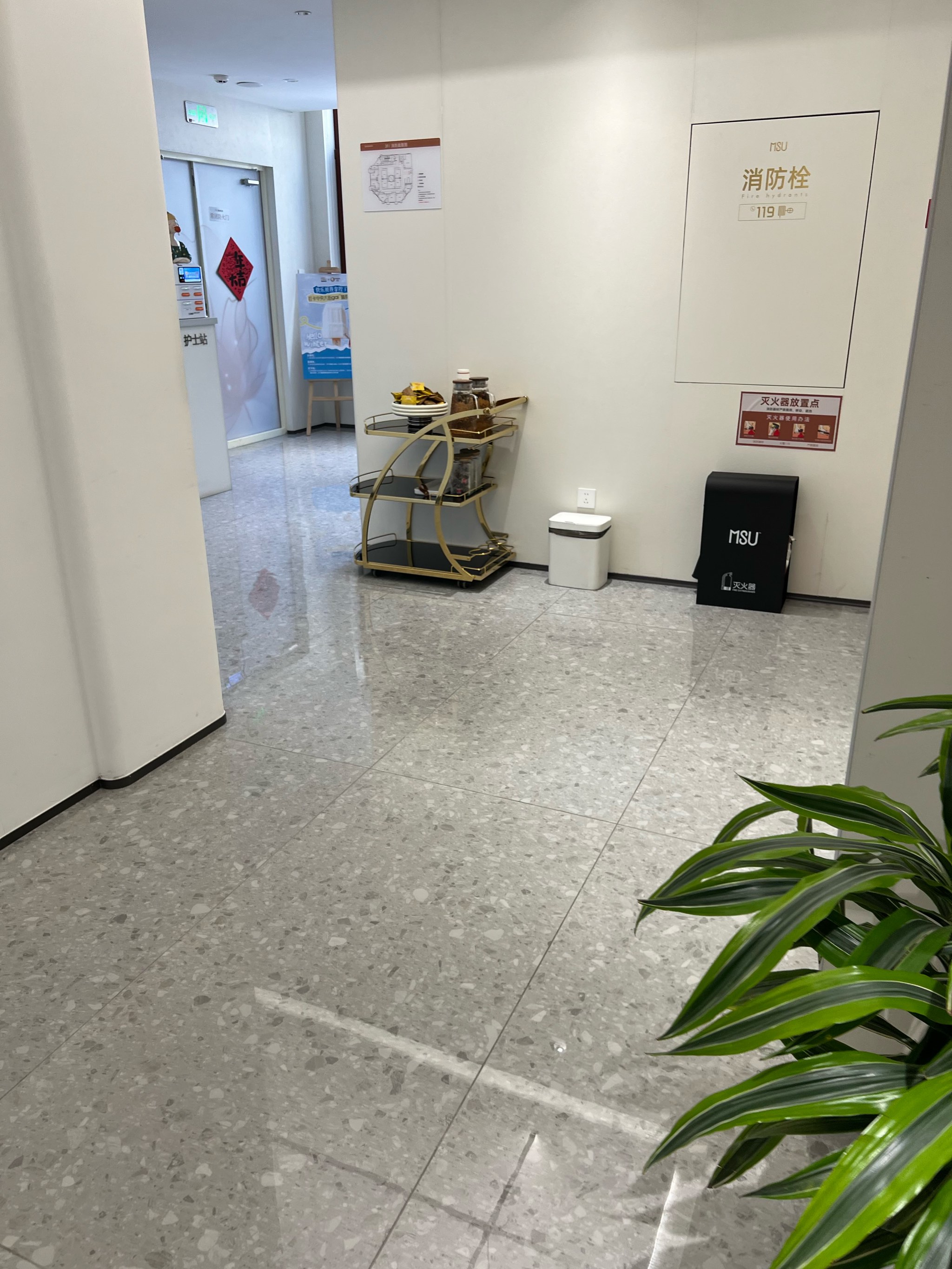 蜜柚视频下载高清全集高清完整版蜜柚视频下载高清，探索高清视频的魅力与便捷-第1张图片