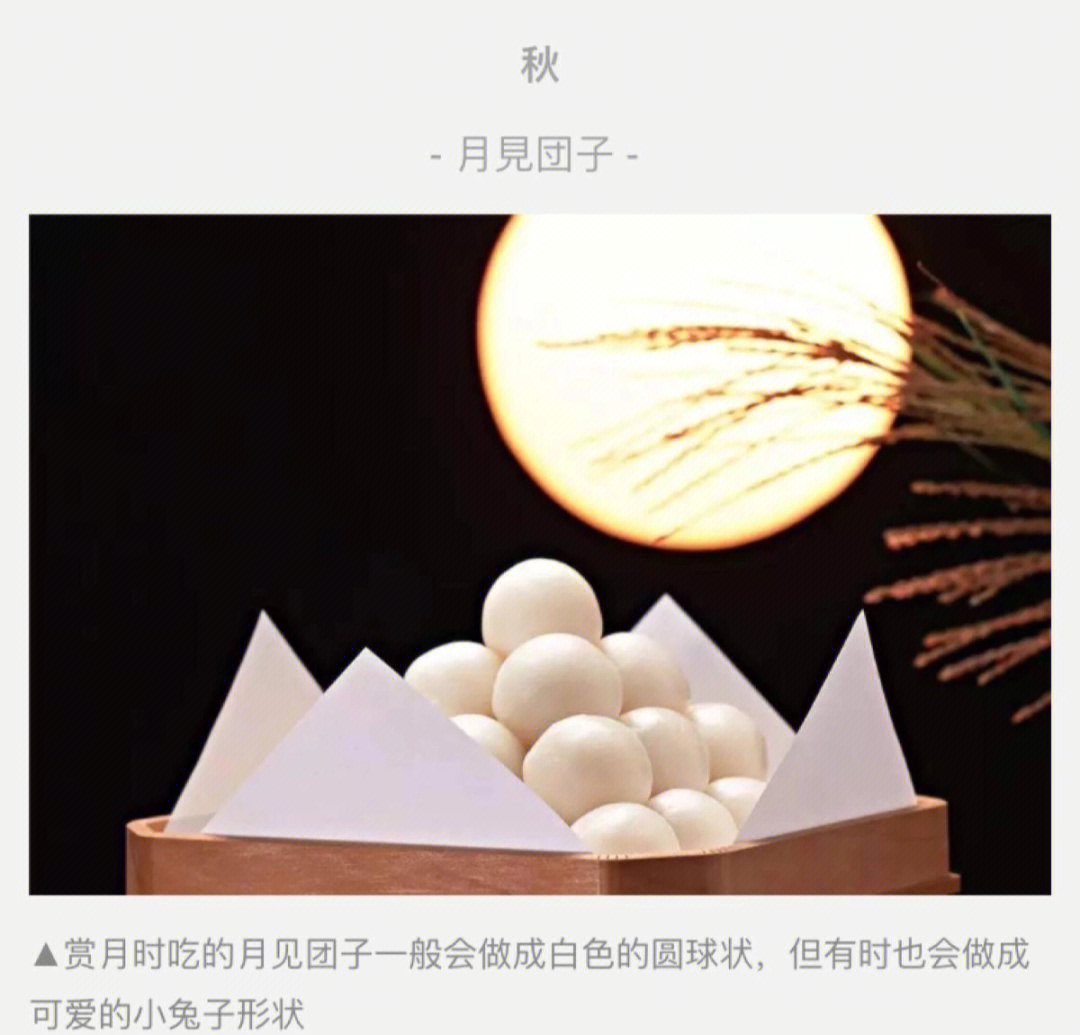 日本文化中的社交习俗与成年人的交往指南-第1张图片