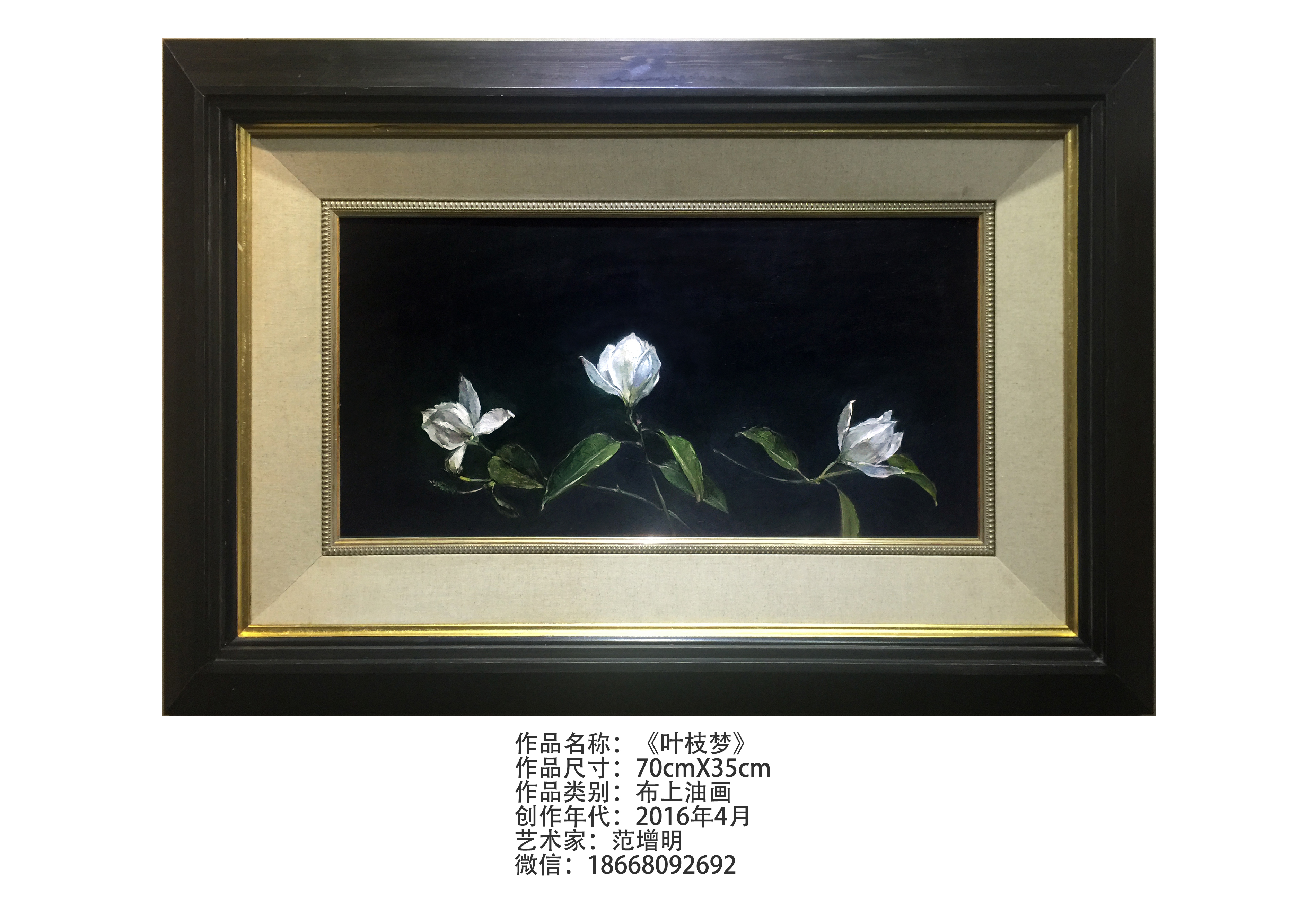 品色论谈品色论谈，探索色彩的魅力与深度-第1张图片