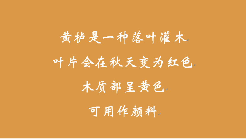 探索色中色的神秘地址-第1张图片
