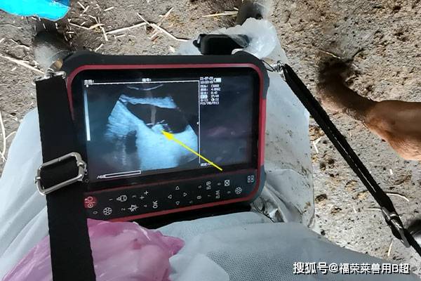 为何B超越小越会带来更舒适的免费体验-第2张图片
